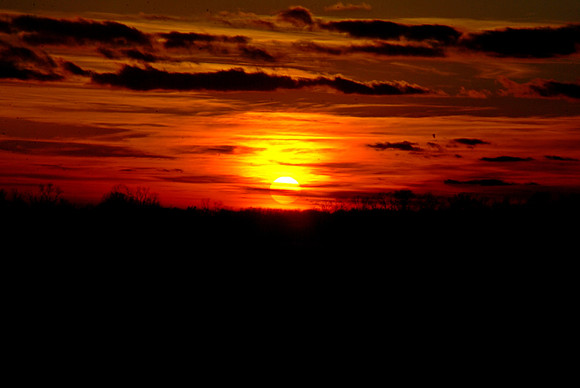 DSC_0033a
