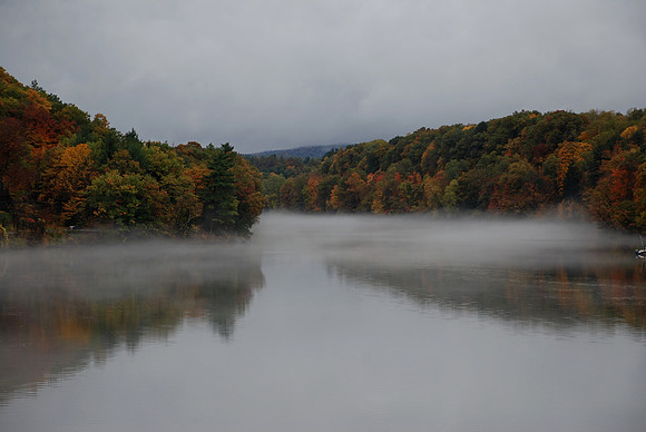 DSC_0486