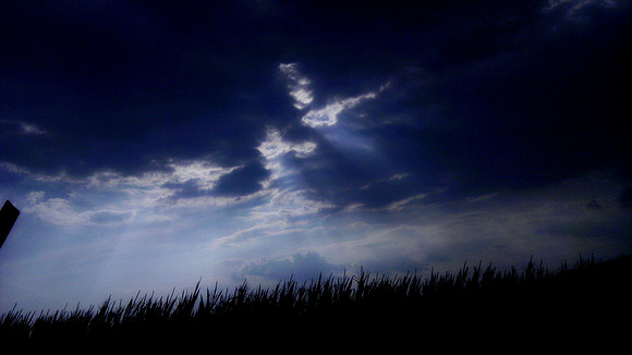 IMAG0025a