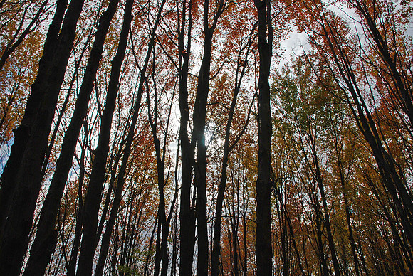DSC_0097